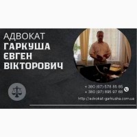 Профессиональные юридические консультации Киев