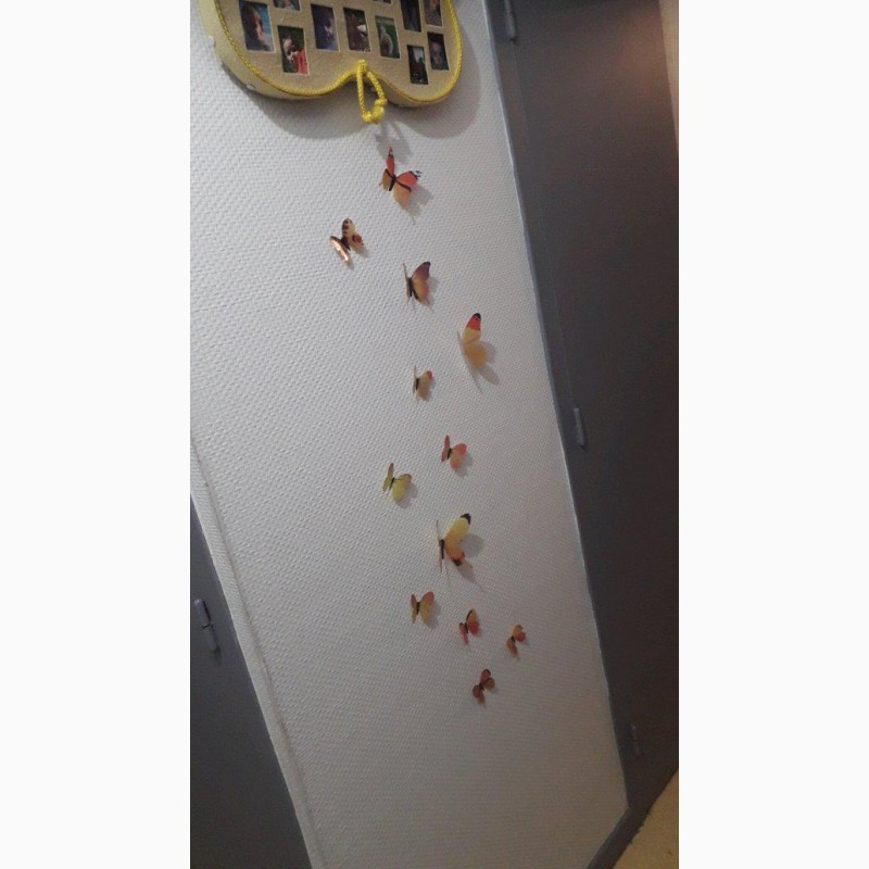 Фото 6. Бабочки 3 декор на холодильник, обои, зеркала
