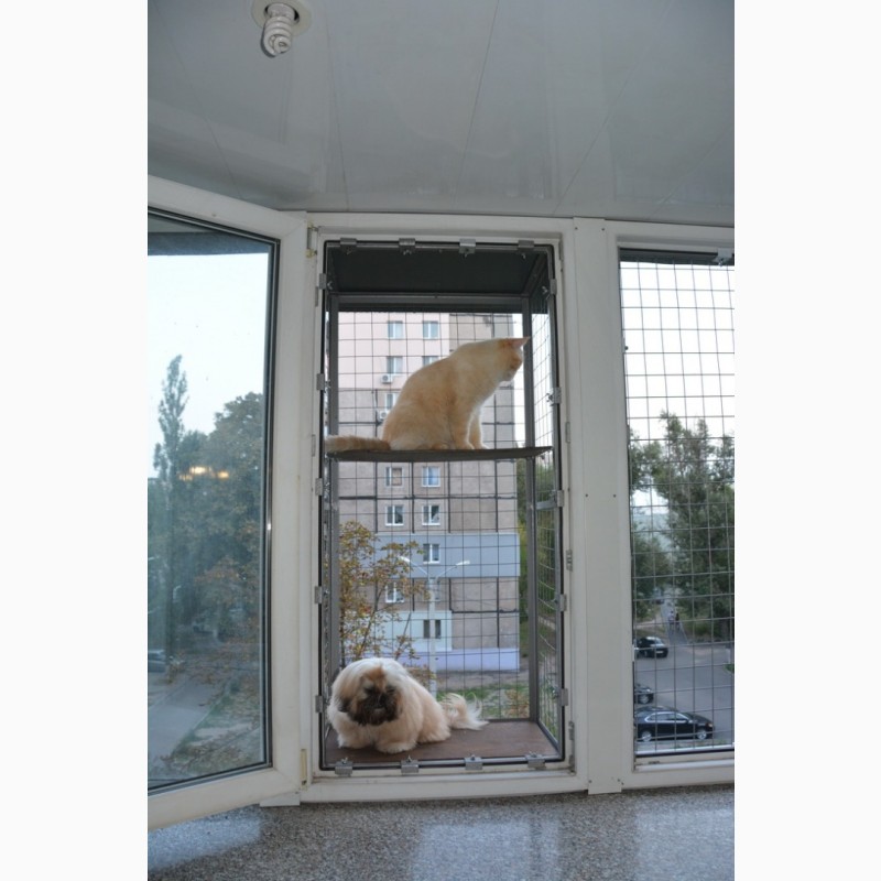 Фото 4. Вольер для кошек на окно. Броневик Днепр