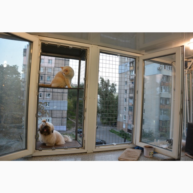 Фото 5. Вольер для кошек на окно. Броневик Днепр