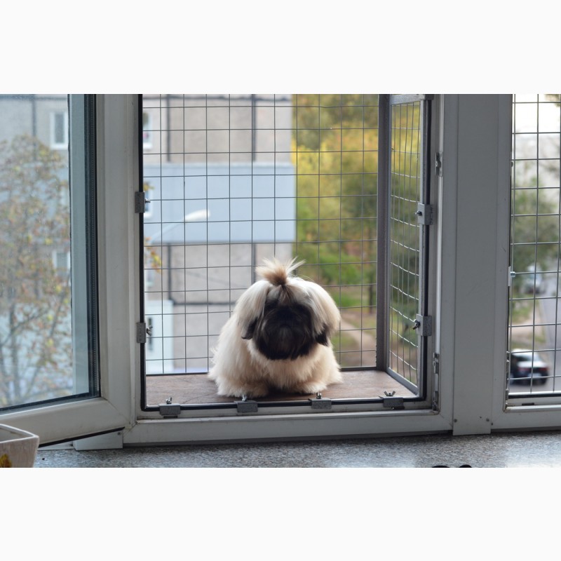 Фото 6. Вольер для кошек на окно. Броневик Днепр