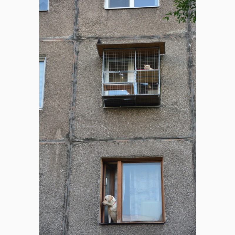 Фото 7. Вольер для кошек на окно. Броневик Днепр