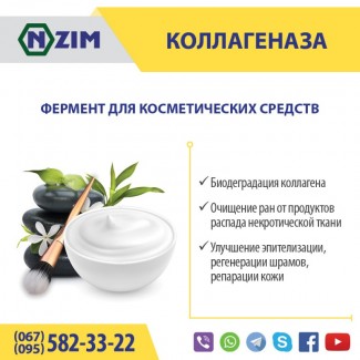 Коллагеназа ENZIM - Фермент для косметологии (производство Украина)