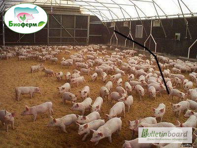 Фото 3. Ферментационная подстилка для животных и птиц Биоферм (Bioferm)