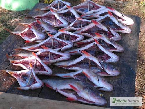 Рыбная компания реализует речную вяленую рыбу оптом