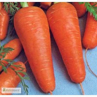 Продам семена моркови Курода Шантане