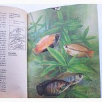 Акваріумні риби. Автор: Шереметьєв І. І
