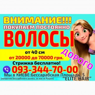 Продать волосы в Киеве дорого Куплю волосы в Киеве дороже всех