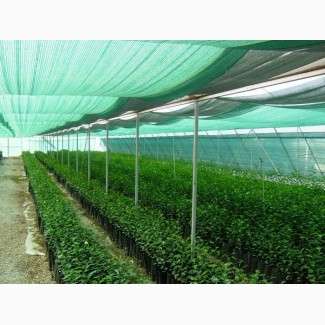 Затеняющая сетка Karatzis зеленая (8х50) 50%
