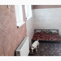 Готель для собак та котів ПЕС- перетримка собак в Києві