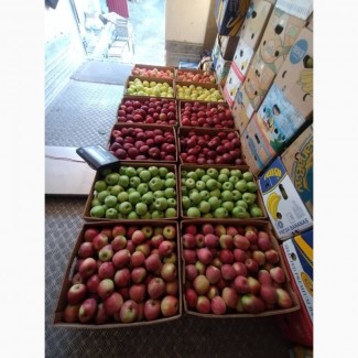 Продам якісне товарне яблуко з власного саду