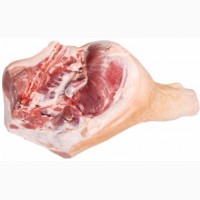 Вигідно! Продам оптом свинину високої якості (бекон): півтуші, елементи, субпродукти, шкт