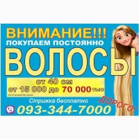 Изготовление париков Славянские волосы в срезе Купить натуральные волосы
