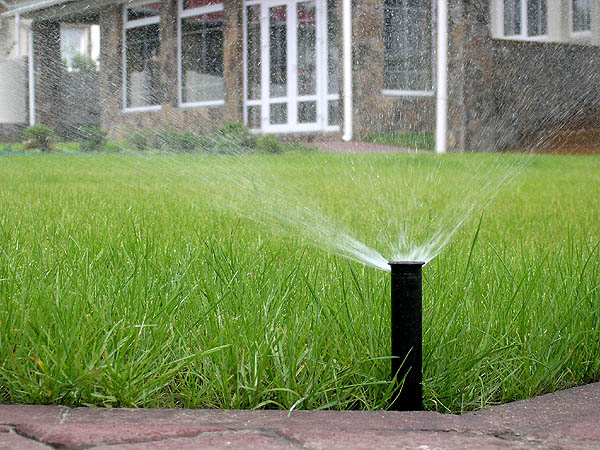 Фото 4. Укладка рулонного газона и установка систем полива, ландшафный дизайн под ключ