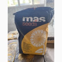 Насіння соняшнику BLADE, Блейд, Майсадур, Mas Seeds 2022