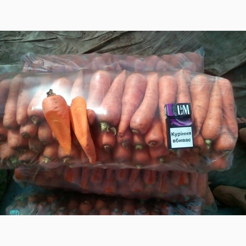 Фото 3. Продам морковь, сорт Абако, Виктория