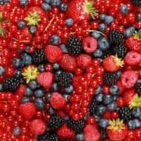 Фрукты и ягоды оптом