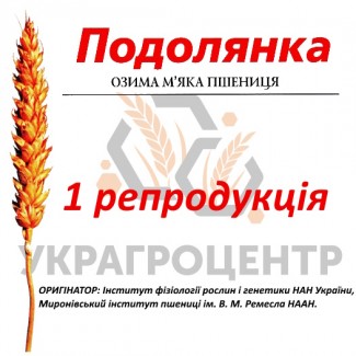 Насіння озимої пшениці ПОДОЛЯНКА 1 репродукція 2024р