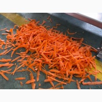 Машина напівавтоматична для ножового очищення моркви STvega KPel L500