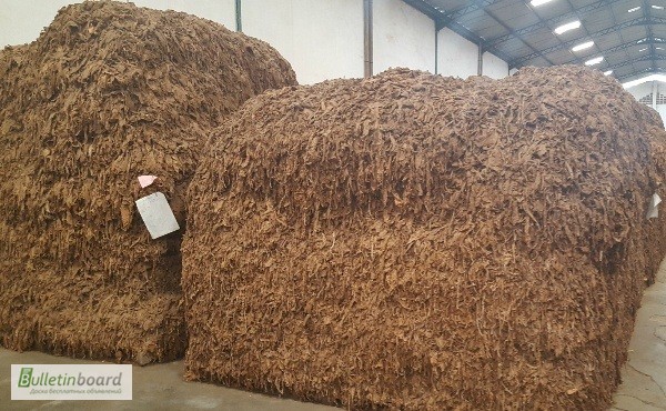 Табак Листовой Оптом от 20 тонн из Индонезии – Jatim VO – ферментированный, Индонезия