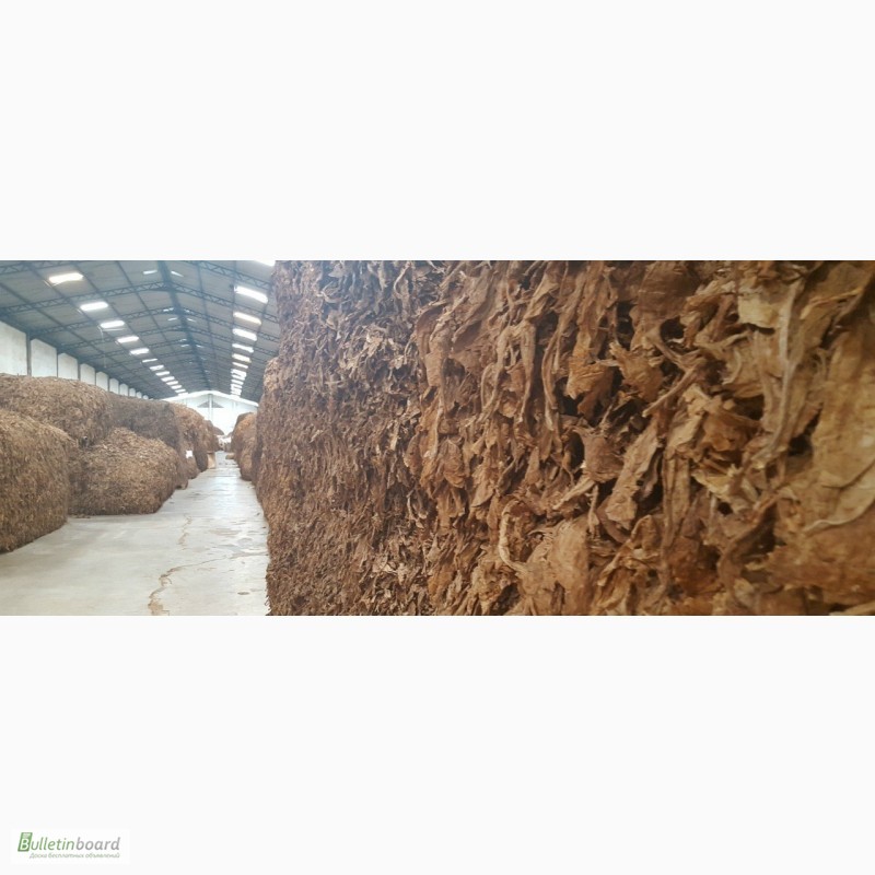 Фото 2. Табак Листовой Оптом от 20 тонн из Индонезии – Jatim VO – ферментированный, Индонезия