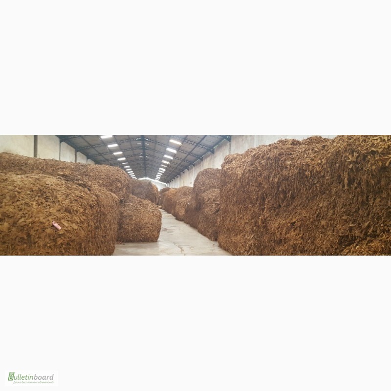 Фото 5. Табак Листовой Оптом от 20 тонн из Индонезии – Jatim VO – ферментированный, Индонезия