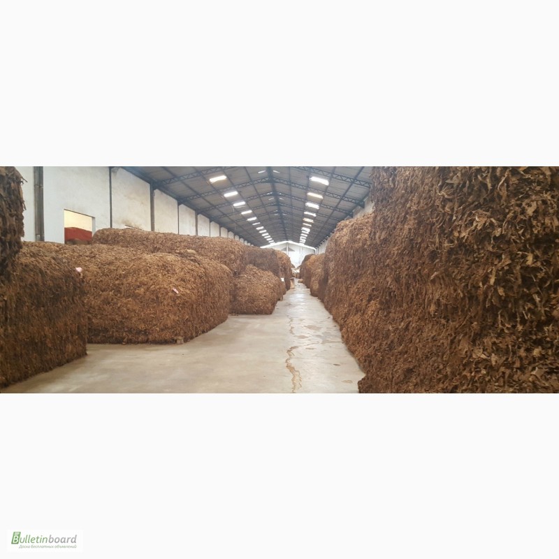 Фото 6. Табак Листовой Оптом от 20 тонн из Индонезии – Jatim VO – ферментированный, Индонезия